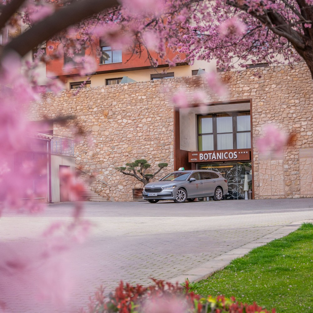 Taxi en Teruel - Ignacio Iranzo - foto del taxi